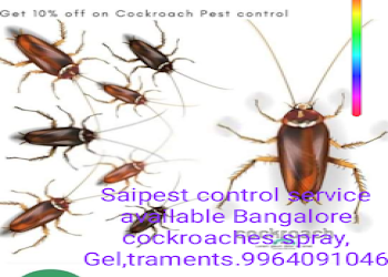 Sai-pest-control-services-Pest-control-services-Marathahalli-bangalore-Karnataka-2