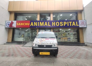 Sanchu-animal-hospital-Veterinary-hospitals-Velachery-chennai-Tamil-nadu-1