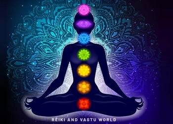 Sanjivani-reiki-and-vastu-center-Astrologers-Amravati-Maharashtra-2