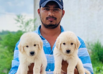 Sardarji-farms-Pet-stores-Bhilai-Chhattisgarh-2