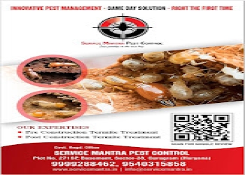 Service-mantra-pest-control-Pest-control-services-Sector-23-gurugram-Haryana-2