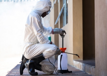 Service-pest-control-Pest-control-services-Jabalpur-Madhya-pradesh-2