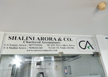 Shalini-arora-company-Chartered-accountants-Sector-34-noida-Uttar-pradesh-2