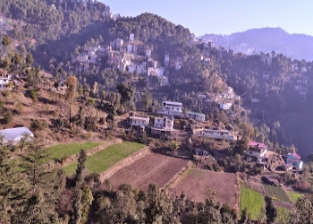 Sharma-home-stay-Homestay-Lakkar-bazaar-shimla-Himachal-pradesh-2