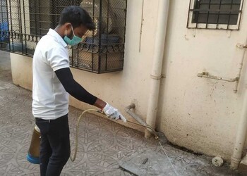 Shaurya-pest-control-service-Pest-control-services-Tilak-nagar-kalyan-dombivali-Maharashtra-2