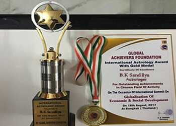 Shri-jyotish-kendra-br-astrologer-bk-sandilyabr-Online-astrologer-Chandigarh-Chandigarh-3