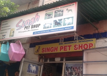 Singh-pet-shop-Pet-stores-Meerut-Uttar-pradesh-1