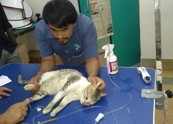 Sks-veterinary-hospital-Veterinary-hospitals-Tiruppur-Tamil-nadu-2