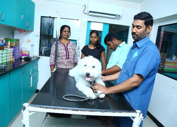 Sks-veterinary-hospital-Veterinary-hospitals-Velachery-chennai-Tamil-nadu-2