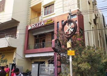 Skyla-family-restaurant-pure-veg-Pure-vegetarian-restaurants-Warangal-Telangana-1