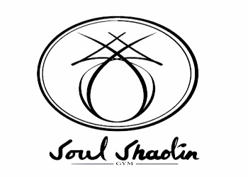 Soul-shaolin-gym-Gym-Sadar-bazaar-agra-Uttar-pradesh-1