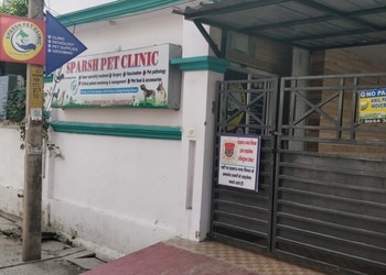 Sparsh-pet-clinic-Veterinary-hospitals-Indira-nagar-lucknow-Uttar-pradesh-1