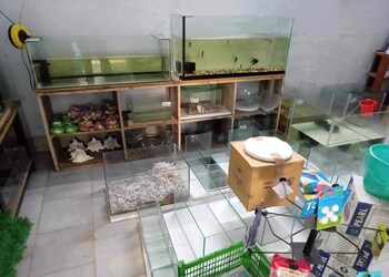 Speed-pets-Pet-stores-Nellore-Andhra-pradesh-3