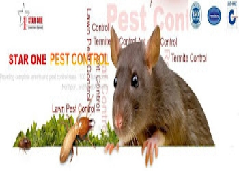 Star-one-pest-control-services-Pest-control-services-Thane-Maharashtra-2