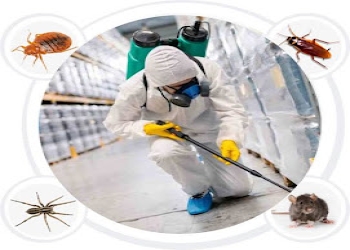 Supriya-pest-control-Pest-control-services-Barra-kanpur-Uttar-pradesh-2