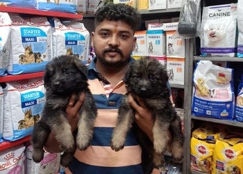 Swapnil-pet-shop-Pet-stores-Gulbarga-kalaburagi-Karnataka-3