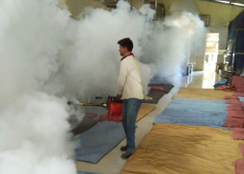 Tej-pest-control-services-Pest-control-services-Koregaon-park-pune-Maharashtra-2