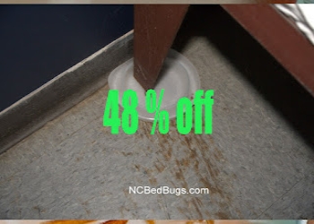 Termite-herbal-pest-control-Pest-control-services-Andheri-mumbai-Maharashtra-2