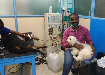 The-cochin-pet-hospital-Veterinary-hospitals-Tripunithura-kochi-Kerala-2