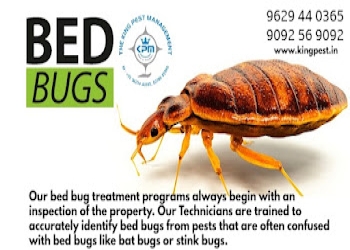 The-king-pest-management-Pest-control-services-Coimbatore-Tamil-nadu-1