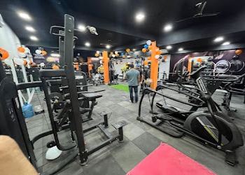 The-lions-gym-Gym-Hisar-Haryana-2