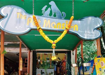 The-pet-mansion-Pet-stores-Shivaji-peth-kolhapur-Maharashtra-1