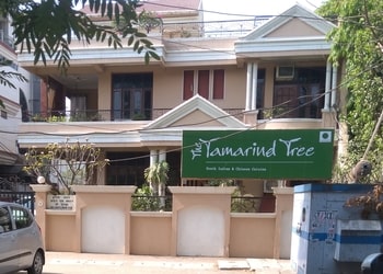 The-tamarind-tree-Pure-vegetarian-restaurants-Allahabad-prayagraj-Uttar-pradesh-1