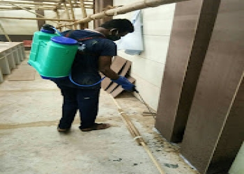 Tp-pest-control-service-Pest-control-services-Vani-vihar-bhubaneswar-Odisha-2