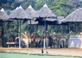 Travelxploria-Travel-agents-Baranagar-kolkata-West-bengal-1
