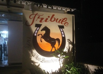 Tribute-restaurant-Family-restaurants-Udaipur-Rajasthan-1