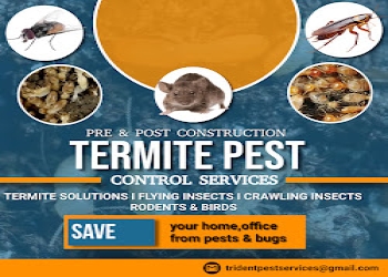 Trident-pest-control-services-Pest-control-services-Karaikal-pondicherry-Puducherry-2