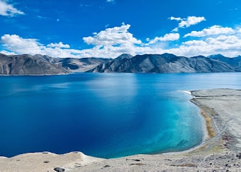 Tripzygo-international-Travel-agents-Gurugram-Haryana-2