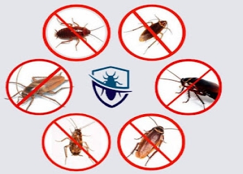 Unicare-facility-management-services-Pest-control-services-Vani-vihar-bhubaneswar-Odisha-2