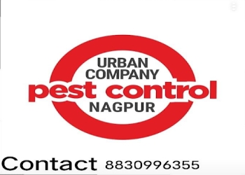 Urban-company-pest-control-nagpur-Pest-control-services-Nandanvan-nagpur-Maharashtra-1