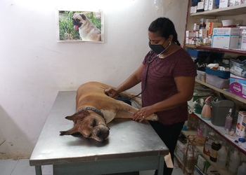 Vet-clinic-Veterinary-hospitals-Tarsali-vadodara-Gujarat-2