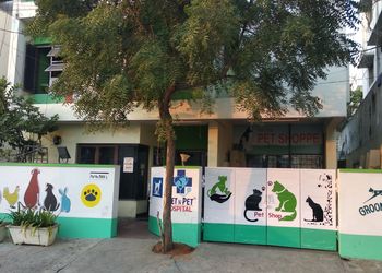 Vet-n-pet-hospital-Veterinary-hospitals-Ameerpet-hyderabad-Telangana-1