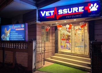 Vetassure-pet-clinic-Veterinary-hospitals-Haldia-West-bengal-1