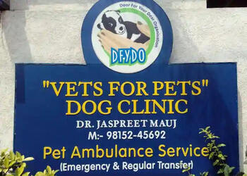 Vets-for-pets-Veterinary-hospitals-Ludhiana-Punjab-1