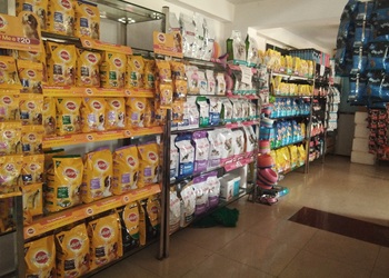 Vetz-for-petz-Veterinary-hospitals-Bannimantap-mysore-Karnataka-3