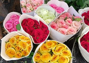 Vinayak-flower-shop-stage-decoration-Flower-shops-Solapur-Maharashtra-2