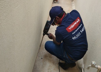 Vishwas-pest-management-and-control-Pest-control-services-Whitefield-bangalore-Karnataka-3