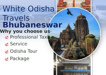 White-odisha-travels-Travel-agents-Bhubaneswar-Odisha