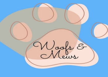 Woofs-mews-pet-clinic-Veterinary-hospitals-Panaji-Goa-1