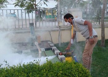 Zeel-pest-solution-Pest-control-services-Ellis-bridge-ahmedabad-Gujarat-2