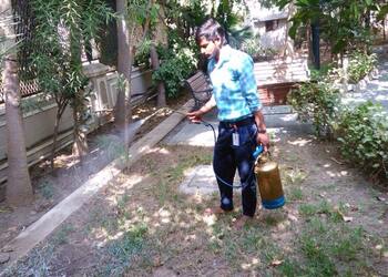 Zeel-pest-solution-Pest-control-services-Ellis-bridge-ahmedabad-Gujarat-3